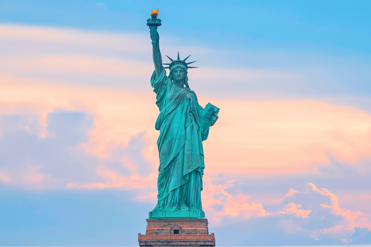 new york / view all.
