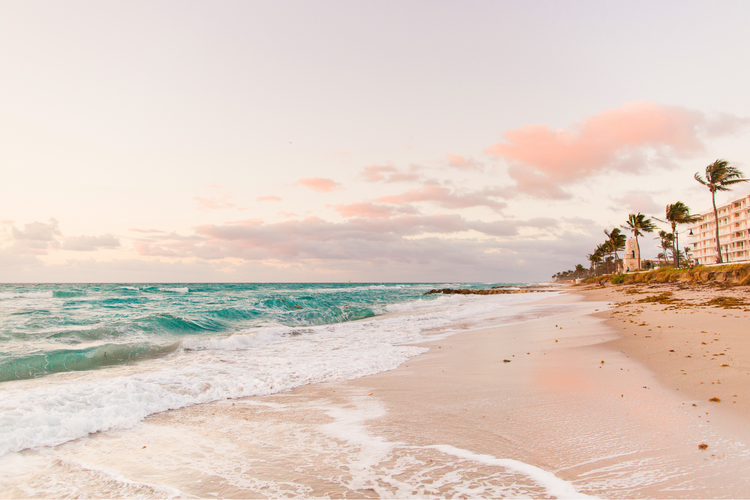 palm beach.
